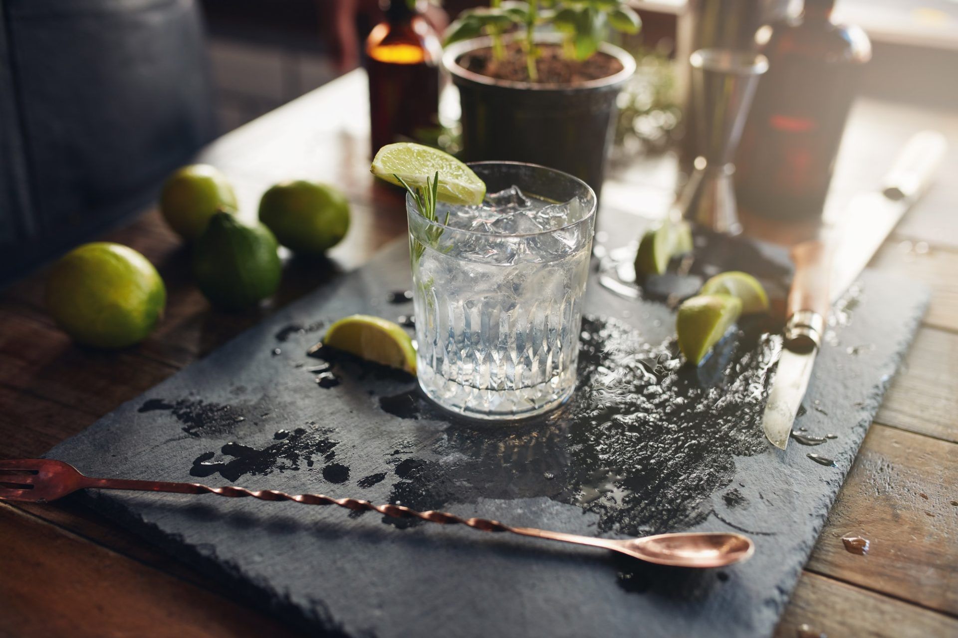 Gin Tonic mit Limetten und Minze auf einer Schieferplatte